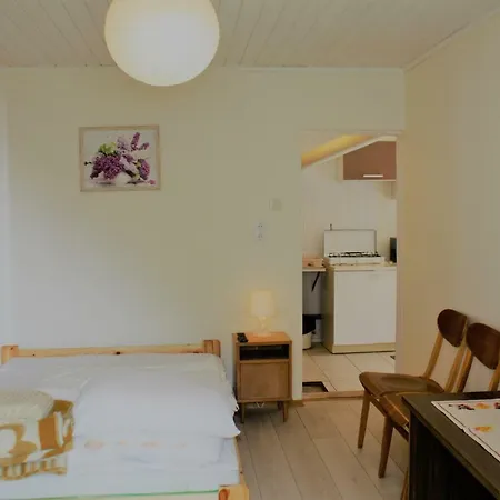 Alyva Guest house