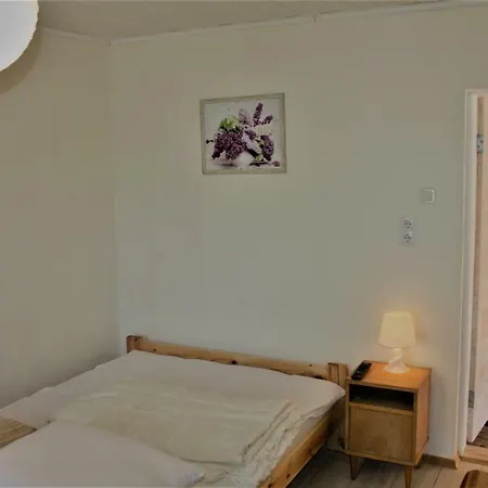 Guest house Alyva *