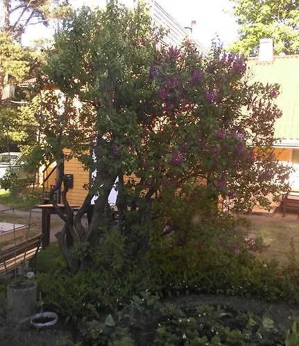 Alyva Гостевой дом Паланга