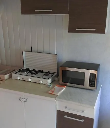 Alyva Гостевой дом *