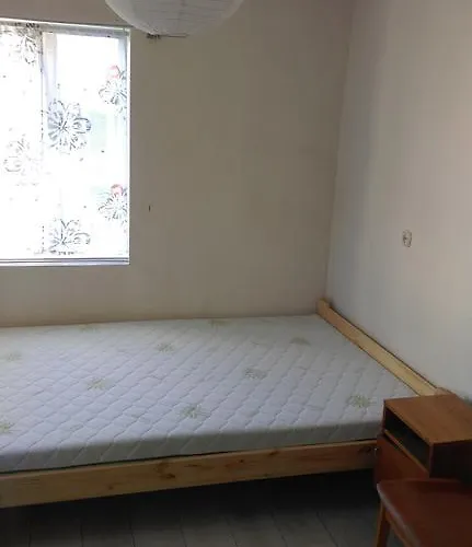 Alyva * Паланга