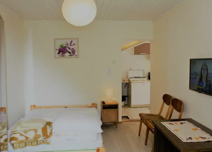 Alyva Гостевой дом