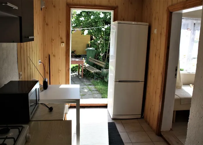 Alyva * Паланга