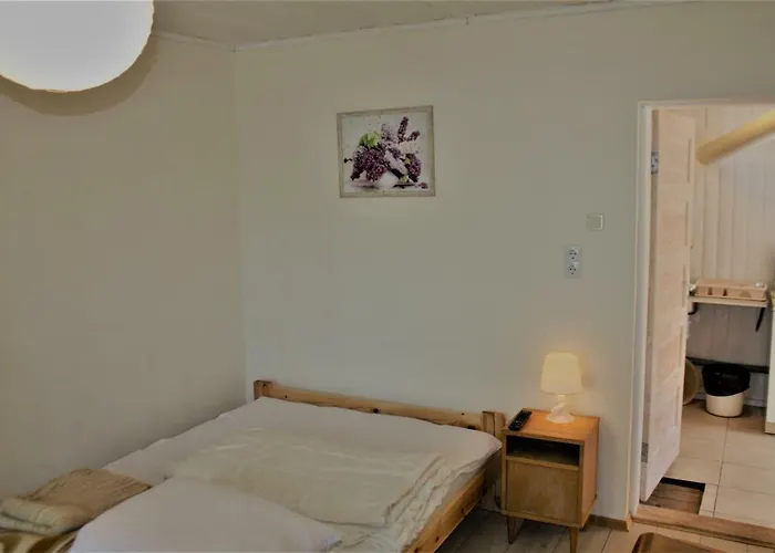 Гостевой дом Alyva *