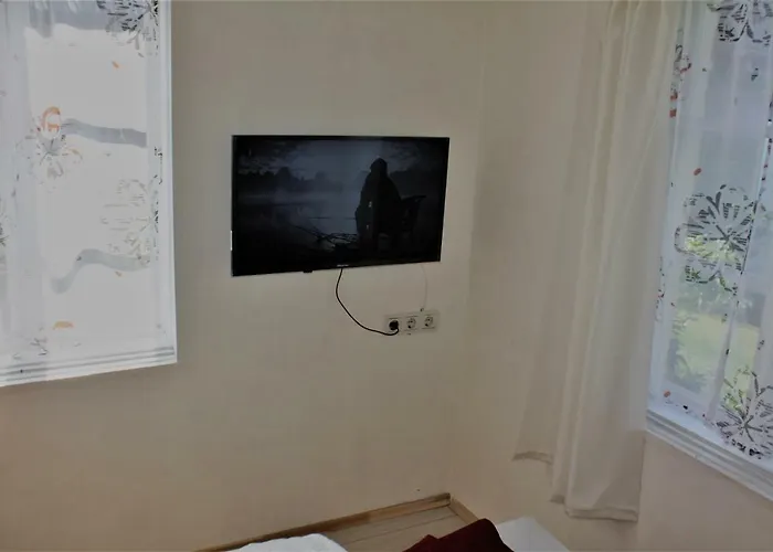 Alyva Паланга