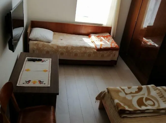 Alyva * Паланга